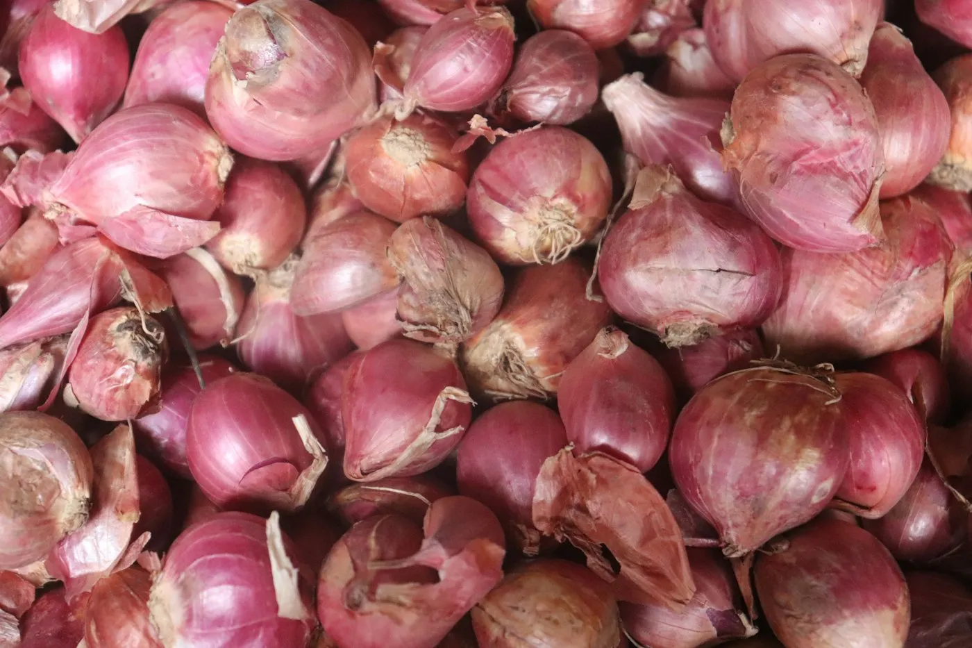 Bawang Merah