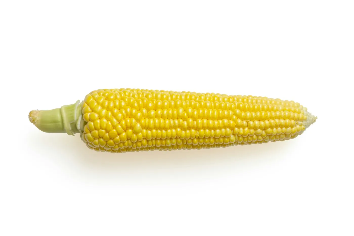 Jagung Manis