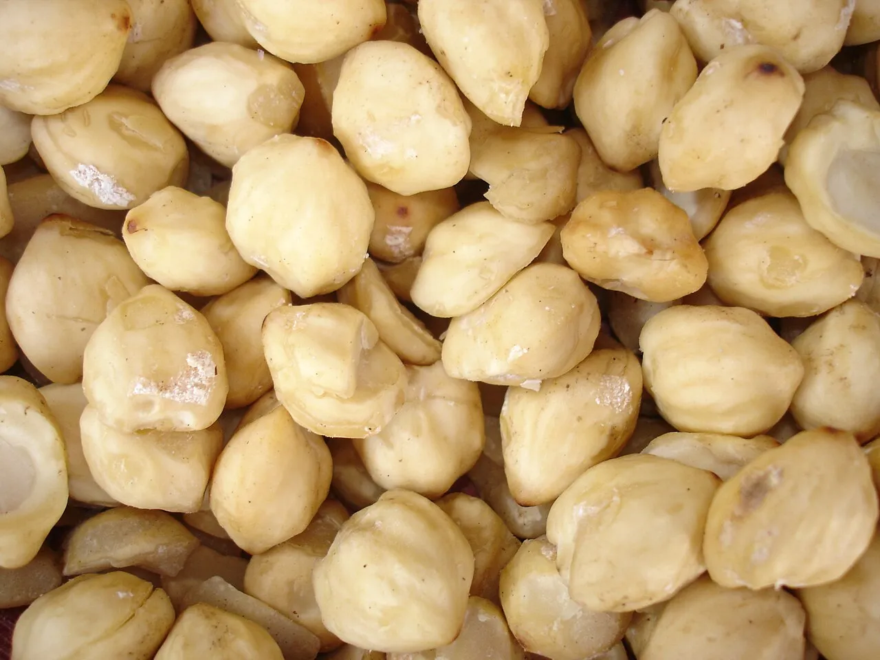 Kemiri