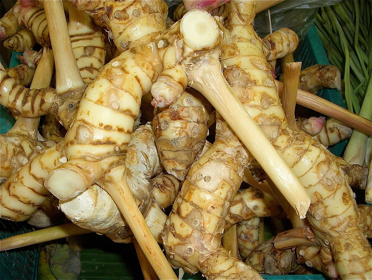 Lengkuas