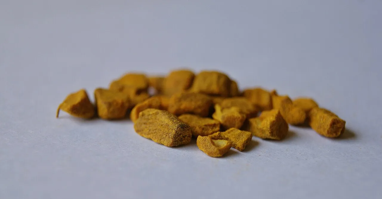 Temulawak